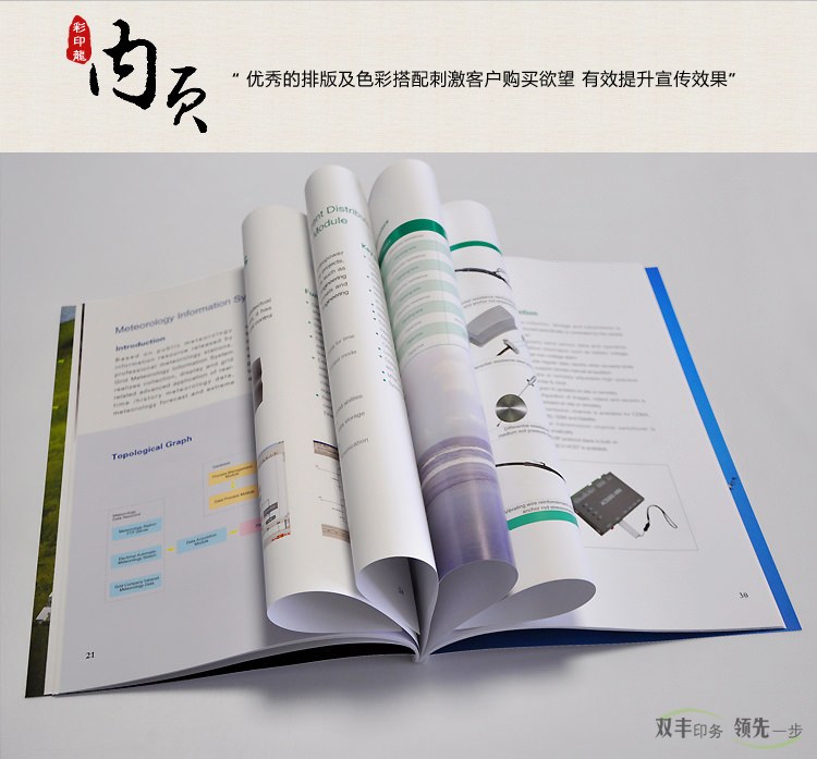 內(nèi)頁(yè)：優(yōu)秀的排版及色彩搭配刺激客戶購(gòu)買欲望，有效提升宣傳效果